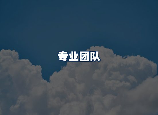 专业团队